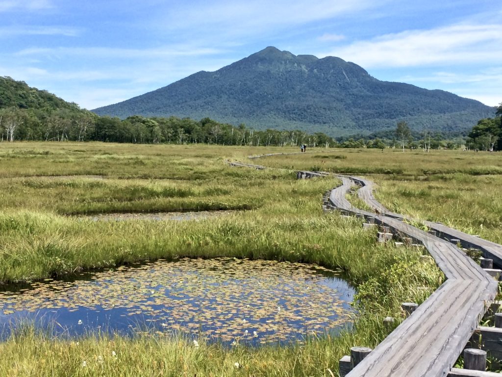 Oze wetland hiking 尾瀬 - DriveJapan / HikeJapan